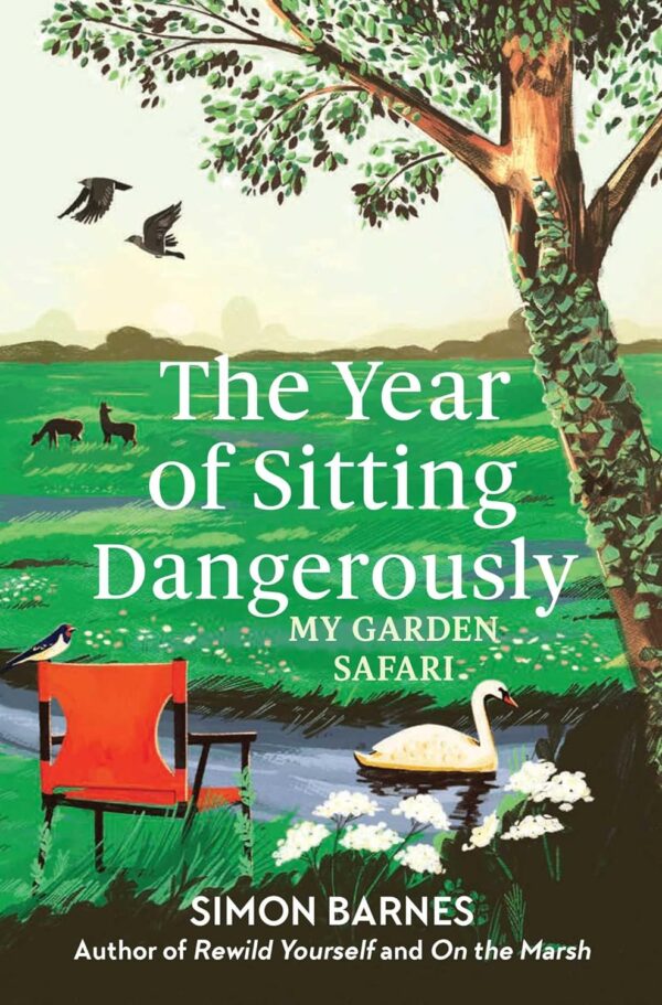 The Year Of Sitting